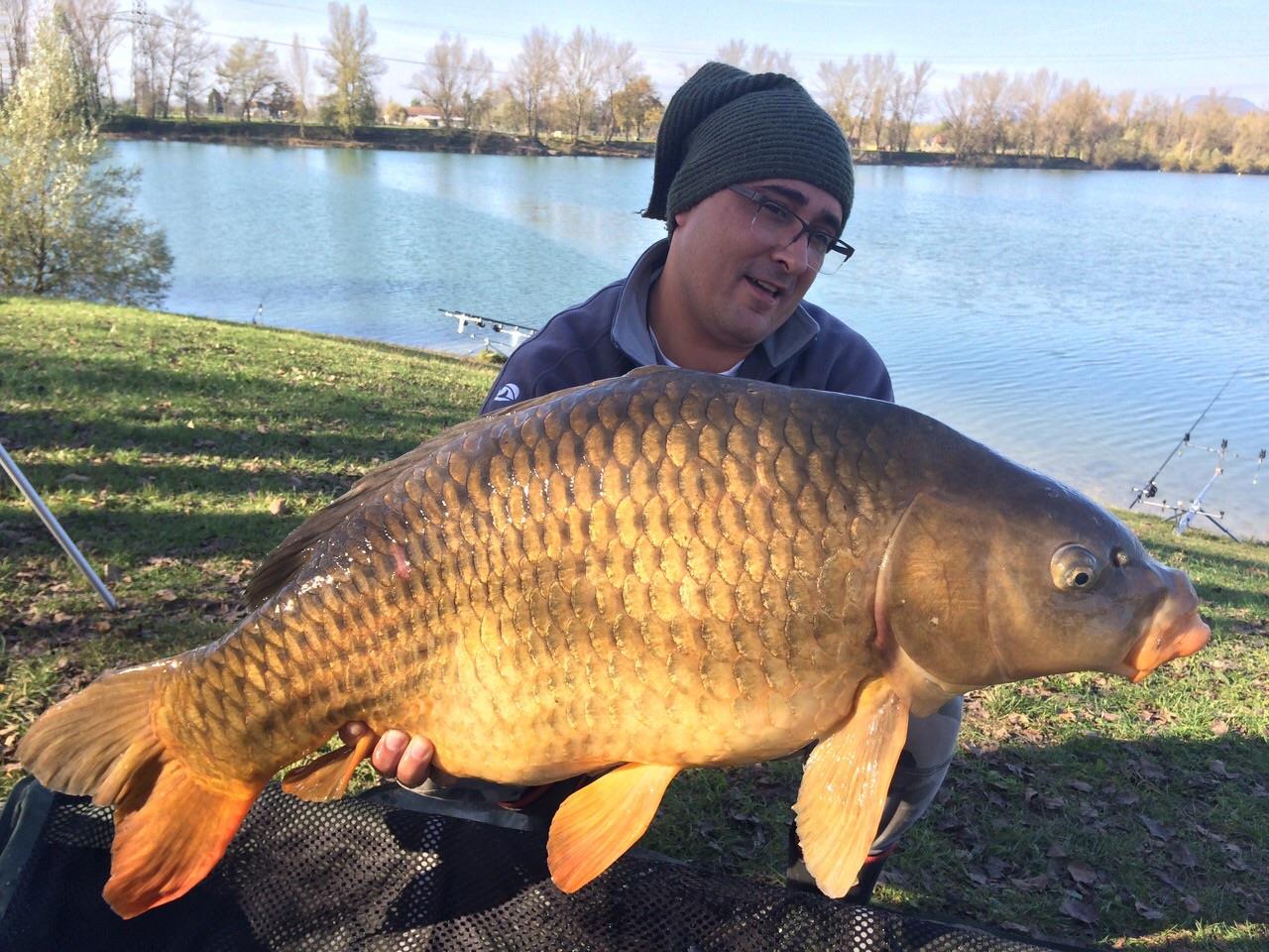 regiune Rhône-Alpes 2 noiembrie 2014 - img-20141102-wa0011.jpg